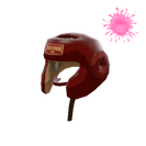 Unusual Pugilist's Protector