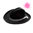 Unusual Buckaroo's Hat