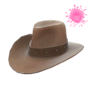 Unusual Hat With No Name