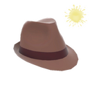 Unusual Fancy Fedora