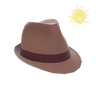 Unusual Fancy Fedora