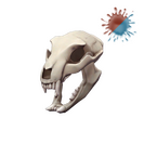 Unusual Bare Bear Bones