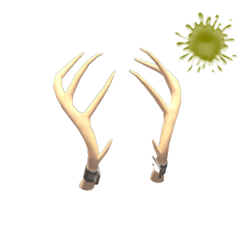 Miami Nights Exquisite Rack