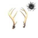 Unusual Exquisite Rack