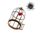 Unusual Birdcage
