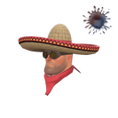 Unusual Wide-Brimmed Bandito