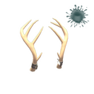 Unusual Exquisite Rack