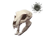 tf2 item