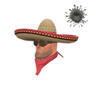 Unusual Wide-Brimmed Bandito