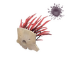 Unusual Mask of the Shaman