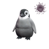 Pebbles the Penguin