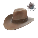 Unusual Hat With No Name