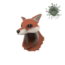 Unusual Head Prize