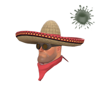 Strange Unusual Wide-Brimmed Bandito