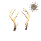 Unusual Exquisite Rack