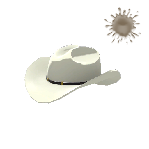 Vintage Texas Ten Gallon