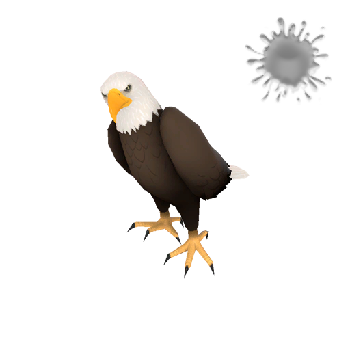 Private Maggot Muncher