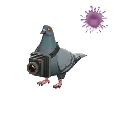 Strange Bird's Eye Viewer