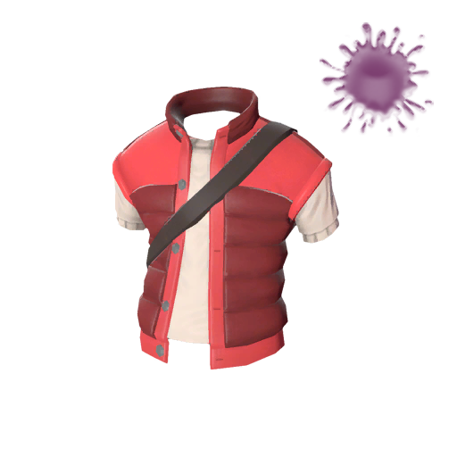 Delinquent's Down Vest