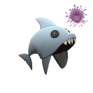 Unusual Cranial Carcharodon