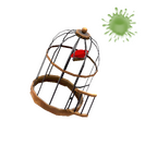 Unusual Birdcage