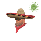Unusual Wide-Brimmed Bandito