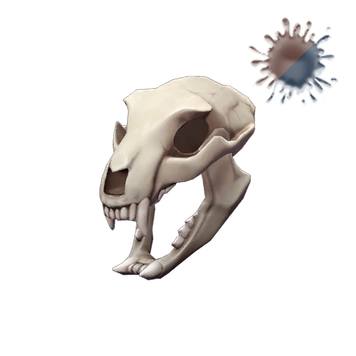 Strange Unusual Bare Bear Bones