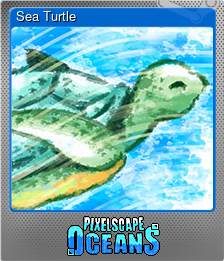 Series 1 - Card 1 of 5 - Sea Turtle