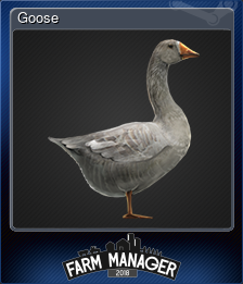 Series 1 - Card 2 of 5 - Goose