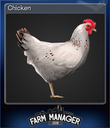 Chicken