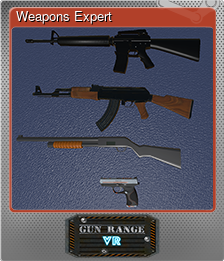 Series 1 - Card 5 of 5 - Weapons Expert