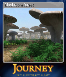 Series 1 - Card 5 of 6 - Mushroom forest