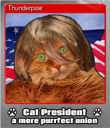 Series 1 - Card 5 of 6 - Thunderpaw