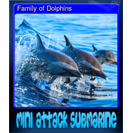Family of Dolphins