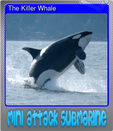 Series 1 - Card 4 of 5 - The Killer Whale
