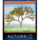 Foggy Spring Morning