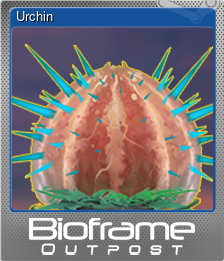 Series 1 - Card 7 of 8 - Urchin