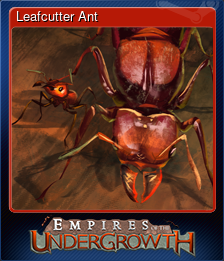 Leafcutter Ant