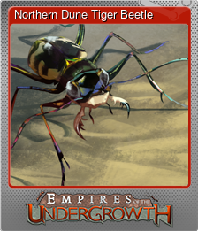 Series 1 - Card 4 of 11 - Northern Dune Tiger Beetle