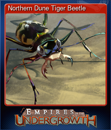 Northern Dune Tiger Beetle