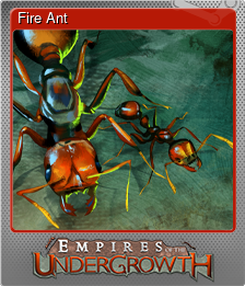 Series 1 - Card 7 of 11 - Fire Ant