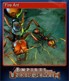 Fire Ant