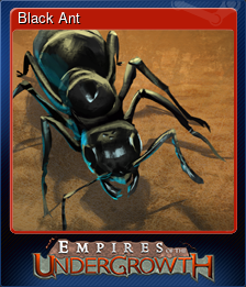 Black Ant