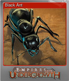 Series 1 - Card 1 of 11 - Black Ant
