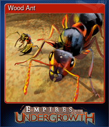 Wood Ant