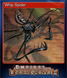 Whip Spider