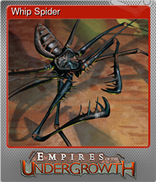 Series 1 - Card 6 of 11 - Whip Spider