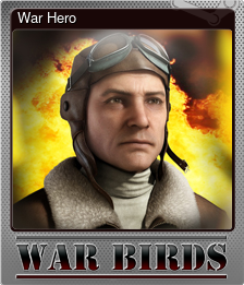 Series 1 - Card 4 of 5 - War Hero
