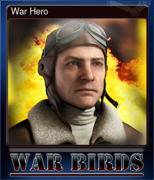 Series 1 - Card 4 of 5 - War Hero