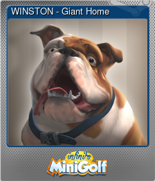 Series 1 - Card 3 of 9 - WINSTON - Giant Home